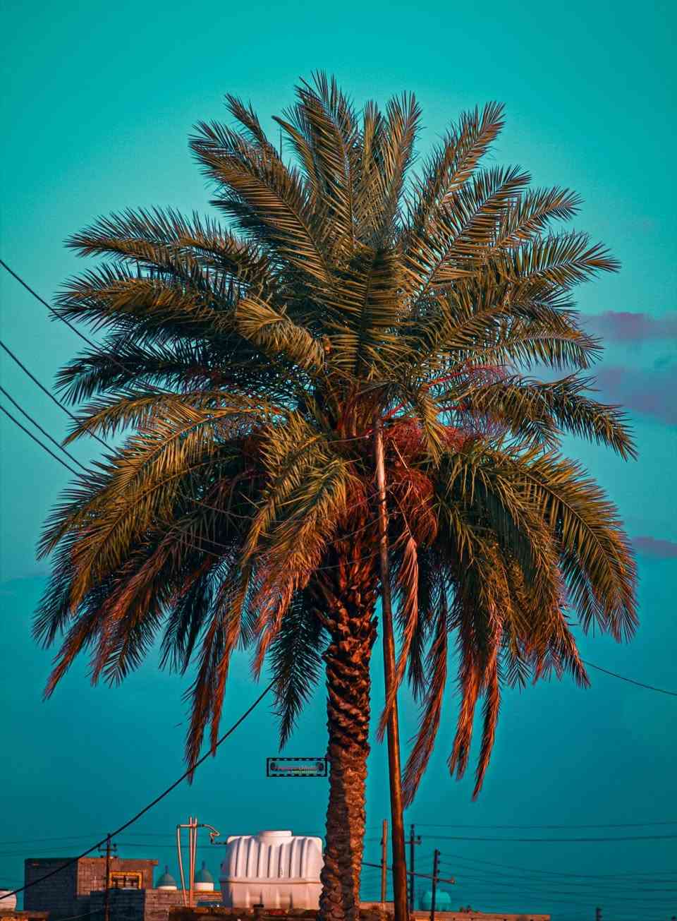 تم التقاط اجمل صور في سبع البور  لمسات جميله سبع البور المصور#السوداني


**إذا كنت صاحب هذا الإعلان وتريد حذفه لأي سبب، رجاءا أرسل رسالة إلى الدعم الفني**