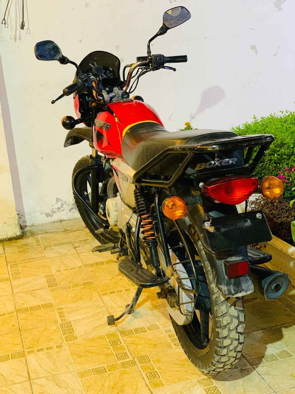 بوكسر جبلي 21 أوراق اصولي 
السعر/950
حله مركز المدينة 
***********
