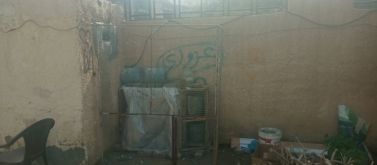 سلام عليكم واجهة وصفحه حديد للبيع او مراوس بطيور دك عرقم مامتواجد، فيس /***********
