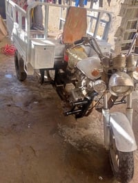 ستوته ام تي ار • بدون أوراق • نجف