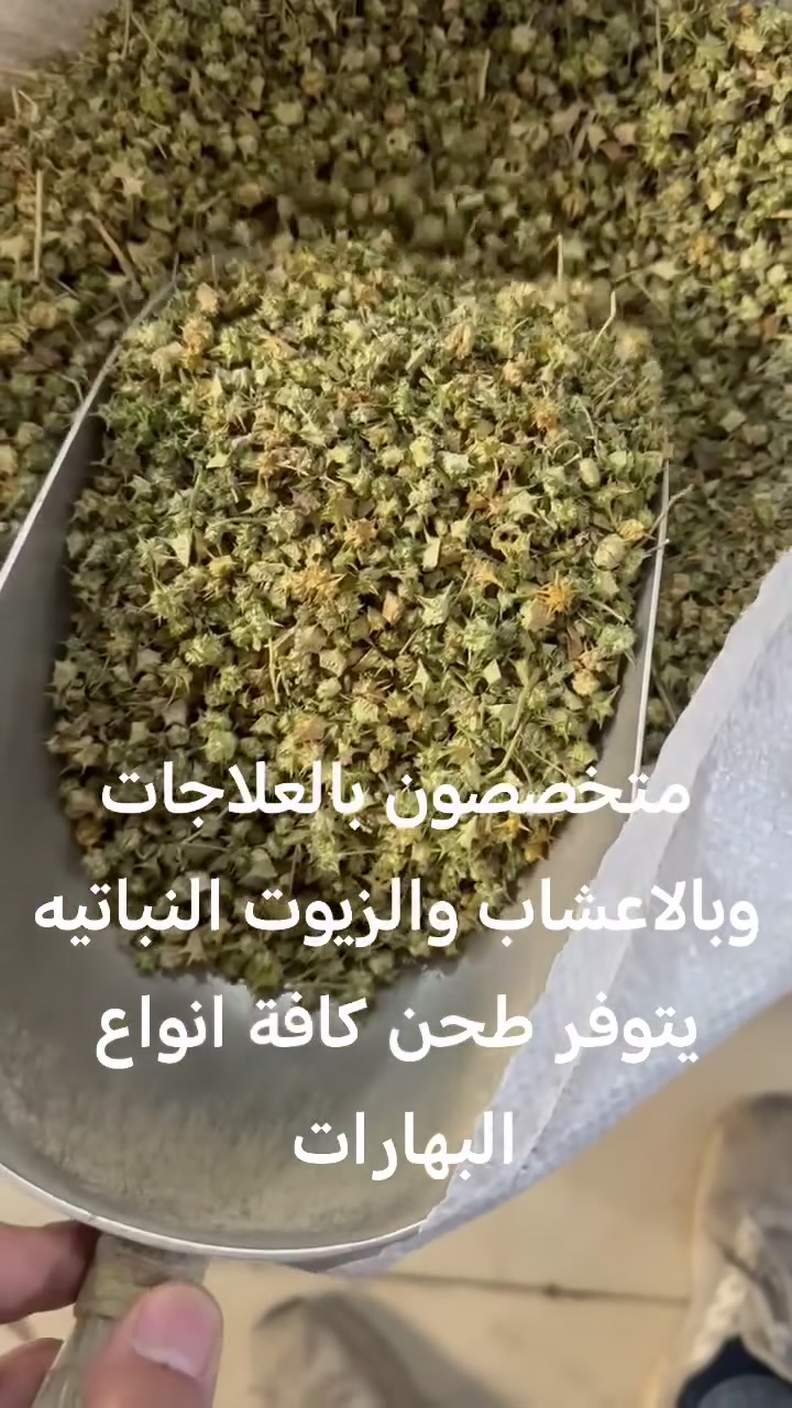 عشبة الكطب لعلاج التهاب المجاري البوليه وحصى الكلى والرمل والتهاب المفاصل متوفر لدى عطارية مير العلوش العنوان قضاء بلد بداية السوك المسكف القديم بأداره محمد علوش *********** توصيل مجاني متخصصون بالعلاجات وبالاعشاب والزيوت النباتيه يتوفر طحن كافة انواع البهارات علاج كافة الأمراض بالاعشاب والزيوت النباتيه
