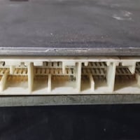 عقل • شغال • نجف