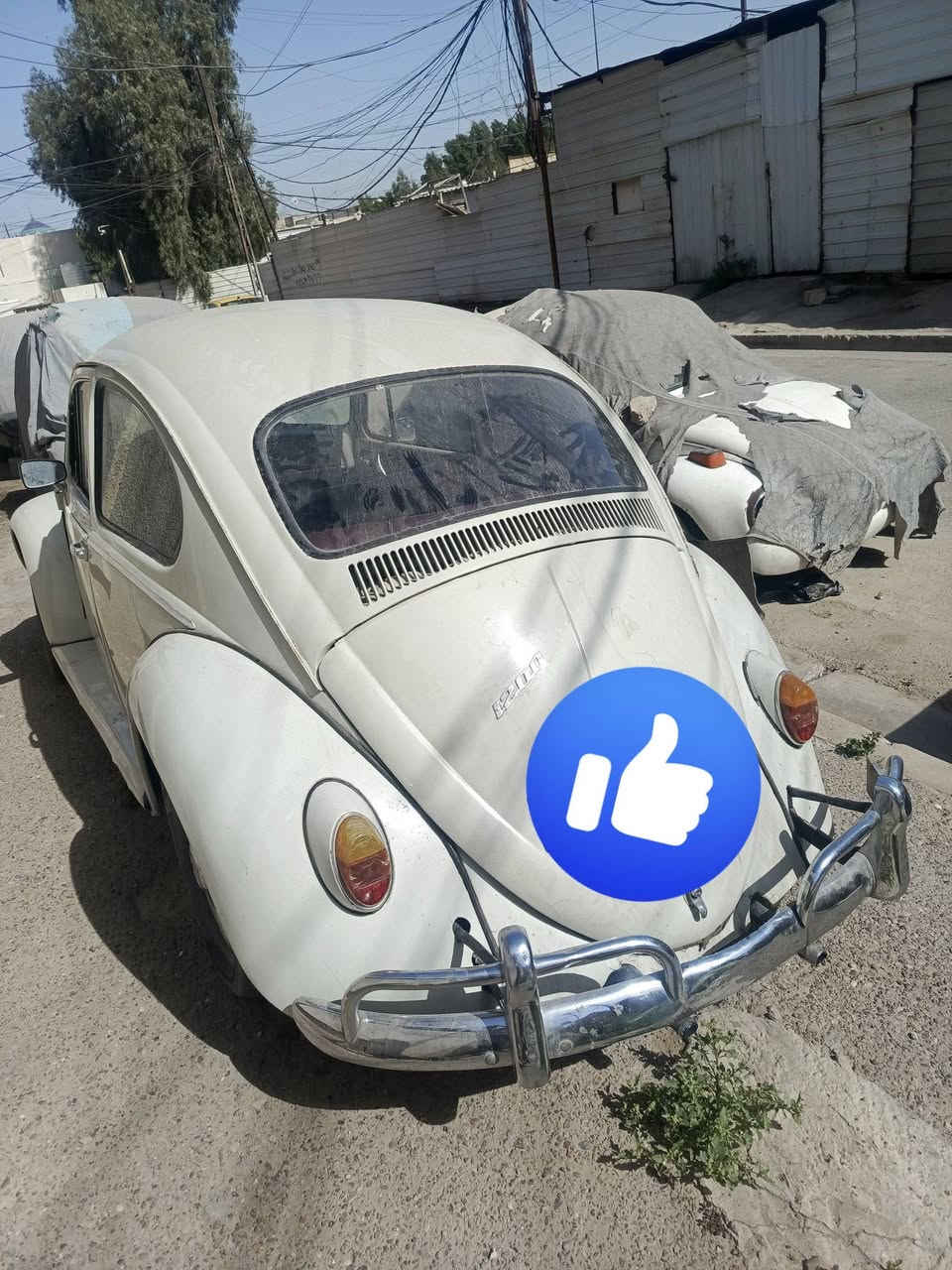 السلام عليكم مرخصت الادمن
فولكسواكن بيتل 

موديل 66

محرك 1200

رقم نينوى مميز 

سعره 105

وقابله لتفاوض 

مازنجر واتساب موجود 

***********

وتحياتي لطيبين ❤
