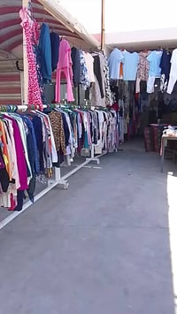 جديد • جمال • متواجد ٩ص-١١ليلا