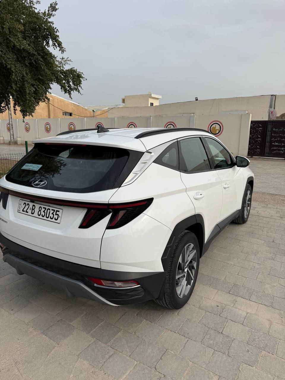 سلام عليكم 
توسان ٢٠٢٣ ماشيه ٣٧ مكفوله كفاله عامه من كلشي سياره جديده جدآ 
فول مواصفات شاشه ديچتل كشنات كهرباء داخل بيجي حساس خلفي امامي مري شفط نفكيشن لدات نهاريه بصمه وباقي المواصفات ) رقم اربيل انكليزي تحويل او وكاله
 
 ( مكان السياره النجف الاشرف ) السعر ٢١٠ معه المجال 
*********** النجف, العراق
