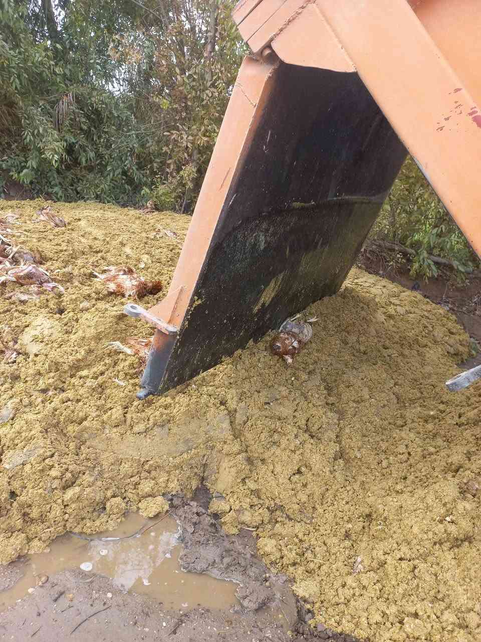 السلام عليكم دمن كيدز لبيع واصل كلمن ومكانه سعره 
***********
