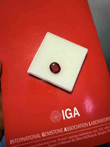 وين اليدور ياقوت طبيعي بدون معالجة  يلا 
شرط افريقي فرط الرمان وعلى الفحص ضمان شهادة دولية حجر مفحوص ومحلل وجاهز للصياغة وزن 10.69 قيراط
***********
هنا وسعر مناسب همين
