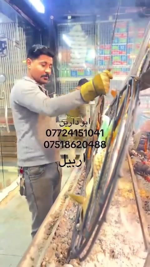 ***********
***********#اربيل #سمك #fypシ❤️💞❤️ #مشاهدات #مشاهير
