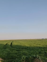 أرض زراعه ١٧دونم صدر ماء وكهرباء مدارس بتدائيه ومتوسطه وعداديه تبعد ال...