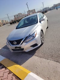 التيما • ٢٠١٦ • السليمانية