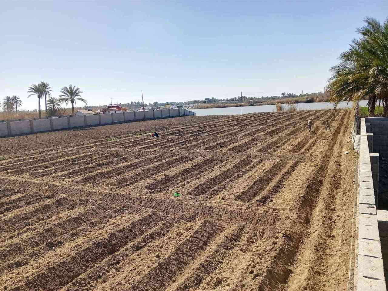 للبيع 

كاع أربعة دوانم ع نهر الفرات 
في الصقلاوية منطقة البعكاش 
استفسار اكثر اتصل ع الرقم 
***********
***********
