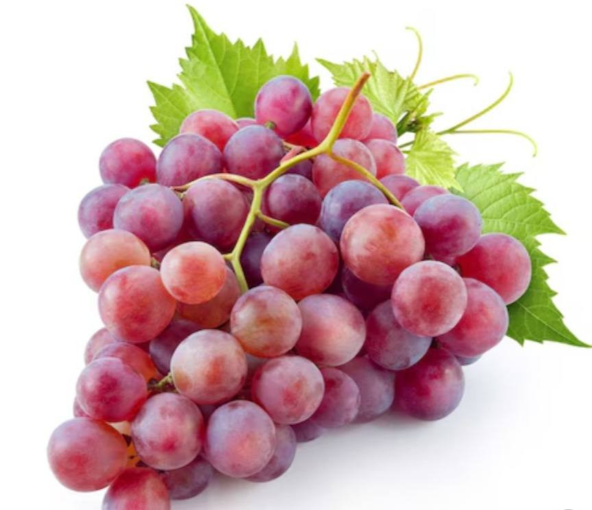 عنب حلواني أمريكي ارتفاع مترين ضمان ومكفول
سعر الشتله ٧٠٠٠ الف
للحجز والاستفسار الاتصال على الرقم *********** جاسم الخليفاوي العنوان الخالديه شارع العام مقابل بلديه الخالديه
