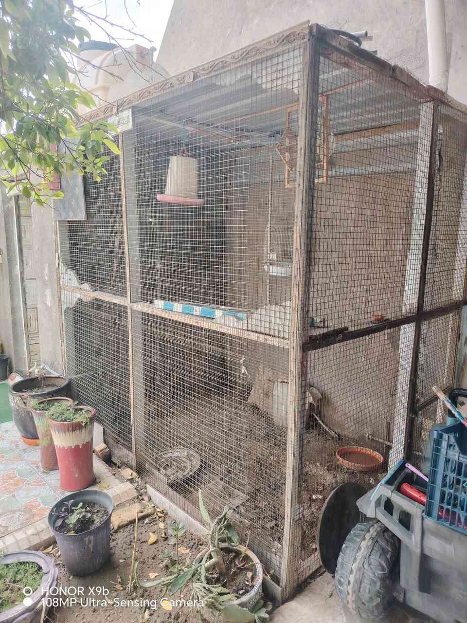 السلام عليكم ورحمة الله وبركاته
وكل عام وانتم بخير وصحه
هذا القفص للبيع نضيف جدا ارتفاعه ٣ متر وعرضه ٢ ونصف في ثنين تقريبا مكانه الحمزه الغربي عليه السلام *********** واتساب سعره ١٠٠ ألف وبيه مجال
