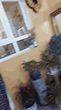 بيت للبيع حي الزنجلي في شارع الببسسي مساحه البيت 90 متر طابقين للستفسار اتصل ***********
