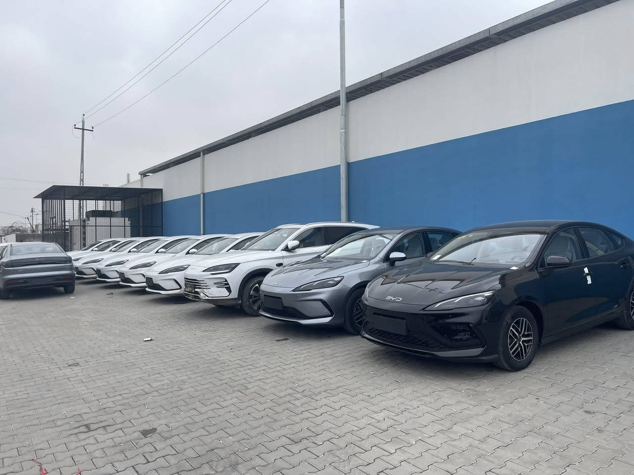 #معرض #حجي #خالد  #لتجارة #السيارات
وصول وجبة جديده من BYD 2025 جميع الالوان متوفرة اسود 🖤وابيض🤍 ورصاصي 🩶
 
السعر: انسب الاسعار اتصل على الارقام التاليه
***********
***********

‏qin plus      - - -   destroer - -seal05 - -song L
   
    1: سيل 05 seal✴️ لون ابيض 🤍واسود🖤

2: كن بلاس qin plus. لون ابيض

‏3: ✴️ Destroer  05. دستروير  ابيض
4: دستروير اسود 
5: دستروير رصاصي 
                                                     6: song L سونك ال 
 7: سونك بلاس لون اسمنتي 

للطلب والاستفسار والحجز الاتصال على الارقام التالية
***********
***********
ادارة المبيعات

☎️📞📲☎️📞📲

بغداد  

شكراً لتواصلكم معنا
 #سيارات  #BYD
#سيل5 #سيل05
#كن_بلاس 
#دستروير
#سونك
