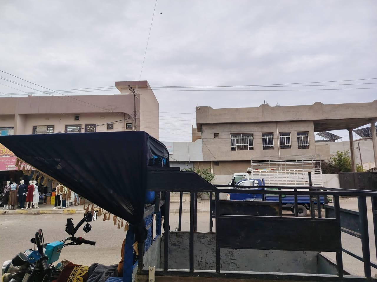 جنج اسليماني للبيع السعر 80الف رقم الموبايل ***********
