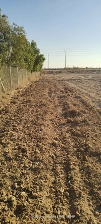 دونم • واجهة ٢٠م • طريق الوافدين