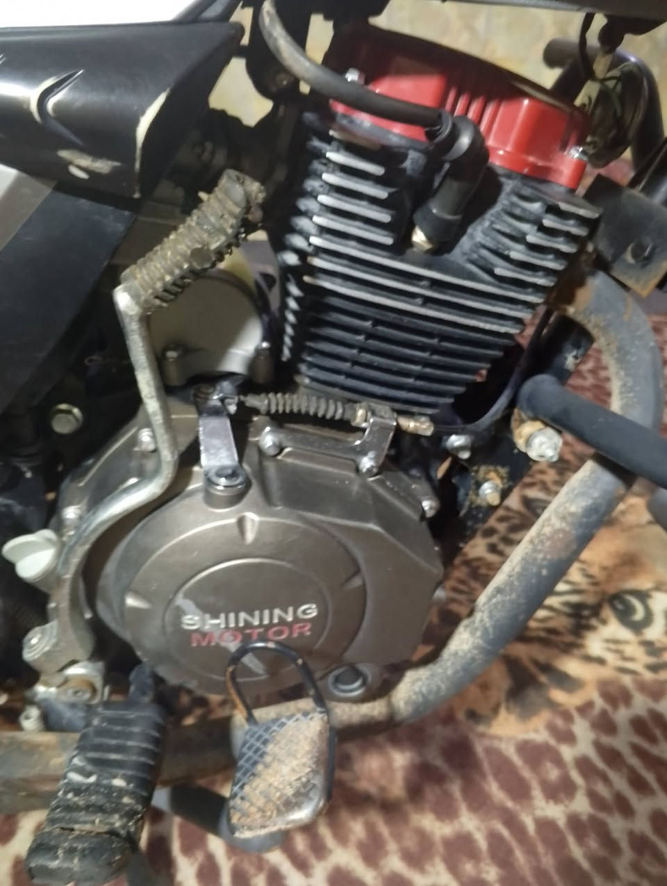 سلام عليكم لبيع دراجه  شا نجان موديل 23 طالعه بل 24  دراجه اورق اصولي  كلشي شغال ما ناقصهه برغي  محركهه برغي ما مفتوح بي  مال جناي سعرهه750وبي مجال  مكاني بابل محاويل


**إذا كنت صاحب هذا الإعلان وتريد حذفه لأي سبب، رجاءا أرسل رسالة إلى الدعم الفني**