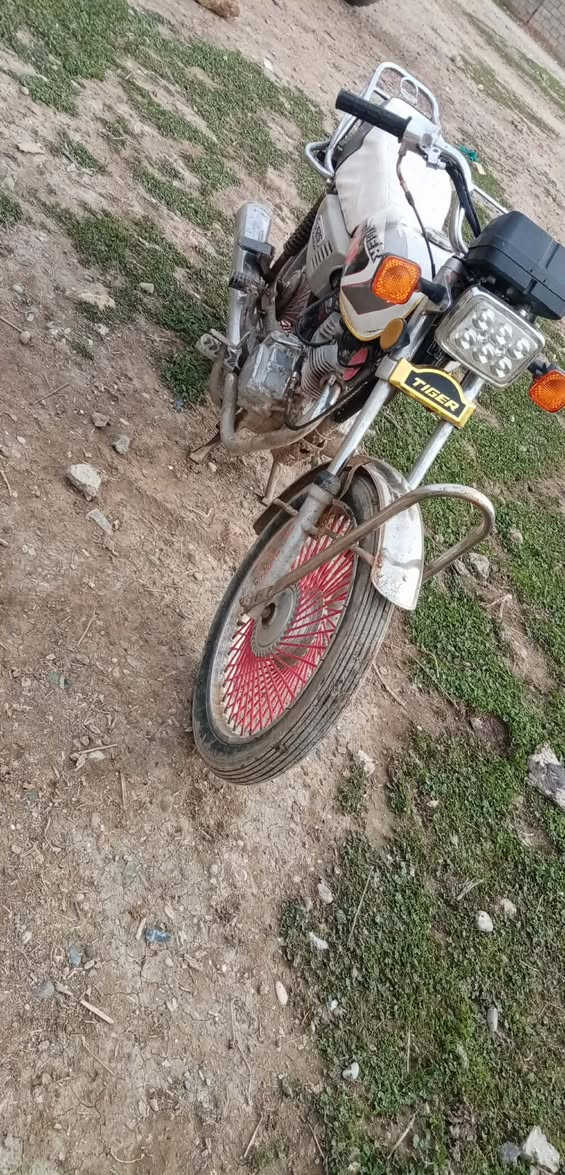 تايكر الفين 19 معمر مره واحده المكان حمام العليل السعر 250 وبي مجال ***********
