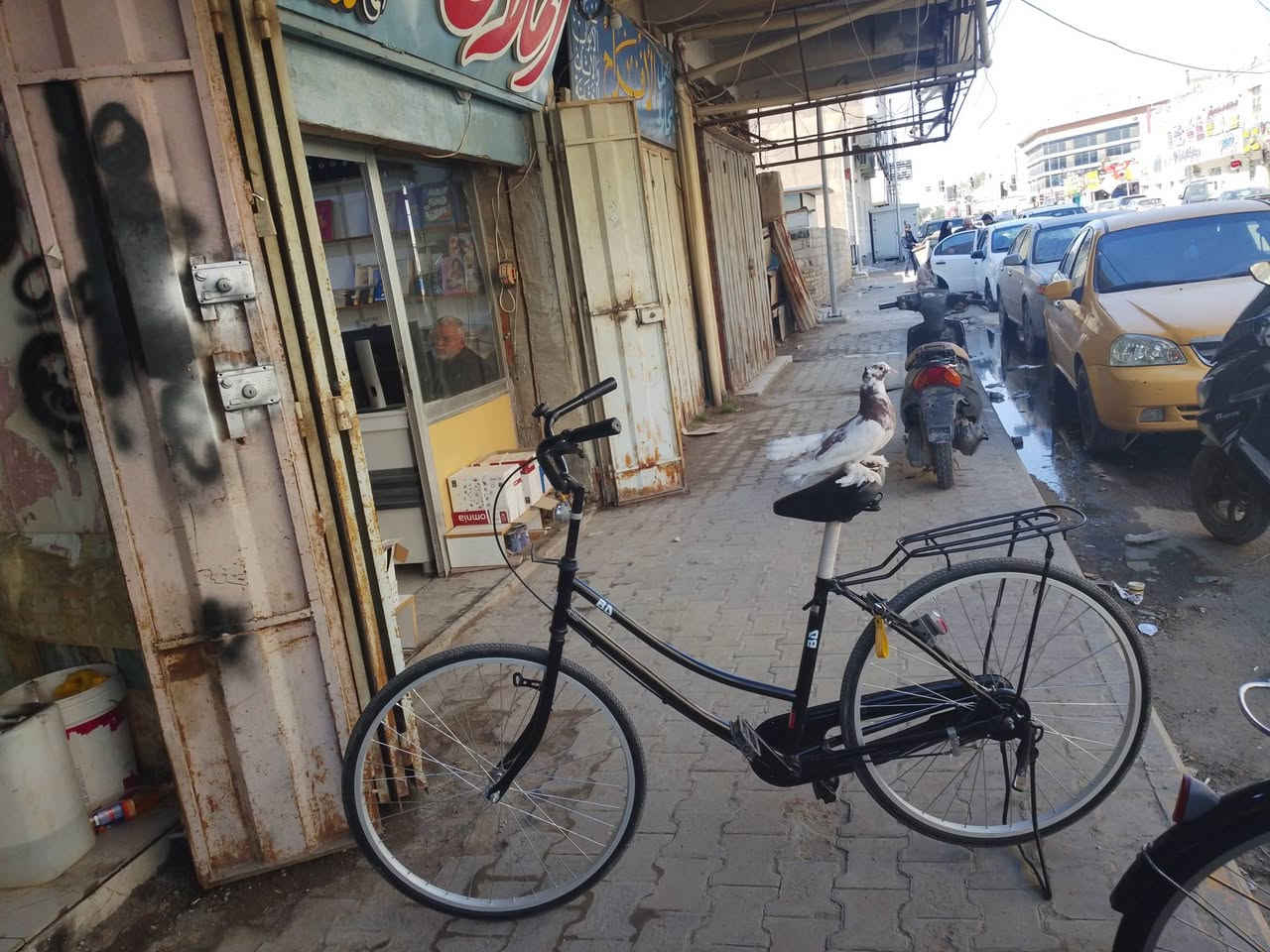 باسكلات اللبيع موديلات 21او 22 السعر خاص


**إذا كنت صاحب هذا الإعلان وتريد حذفه لأي سبب، رجاءا أرسل رسالة إلى الدعم الفني**