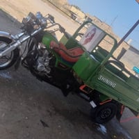 07810136788 شباب ستوته للبيع 2021 طالعه بال 22