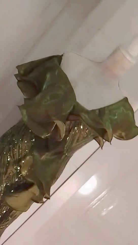 كلشي بسعره تخفيضات سكرين وع خاص


**إذا كنت صاحب هذا الإعلان وتريد حذفه لأي سبب، رجاءا أرسل رسالة إلى الدعم الفني**