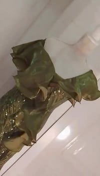 ملابس • تخفيضات • خاص