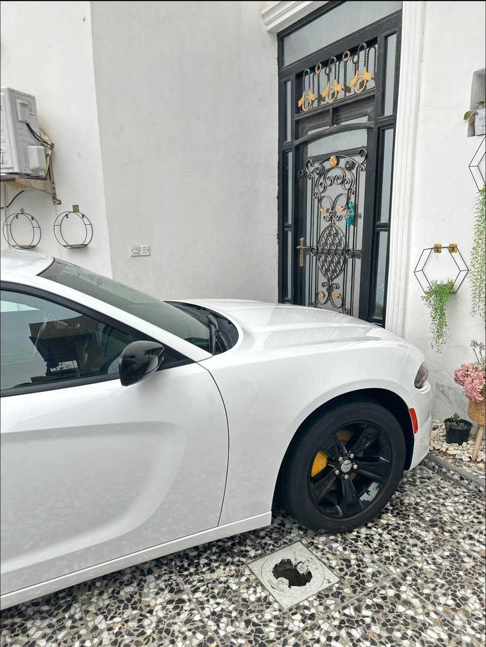 سلام عليكم للبيع ويل 18 مع تخم تاير انتاج 24 مكفول من زلغ  اصلي لاعواج ولاتصليح سعر 650 الف وبي محال لطيبين عنوان بابل مركز للاستفسار خاص حلة, بابل


**إذا كنت صاحب هذا الإعلان وتريد حذفه لأي سبب، رجاءا أرسل رسالة إلى الدعم الفني**