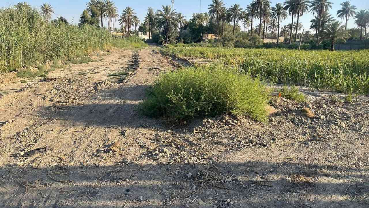 دونم طابو 25 سند تحويل كافه المساحات اسهم باسمك في كربلاء شارع ام ام البنين منطقه  ￼￼الزبيليه   كافه الخدماللمعلومات اتصال/*********** /📞***********
 سعر الدونم100مليون
