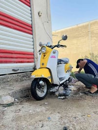 عبد الحليم • حاويه • ناصريه