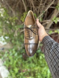 اكسفورد • قياس ٤١ • حذاء