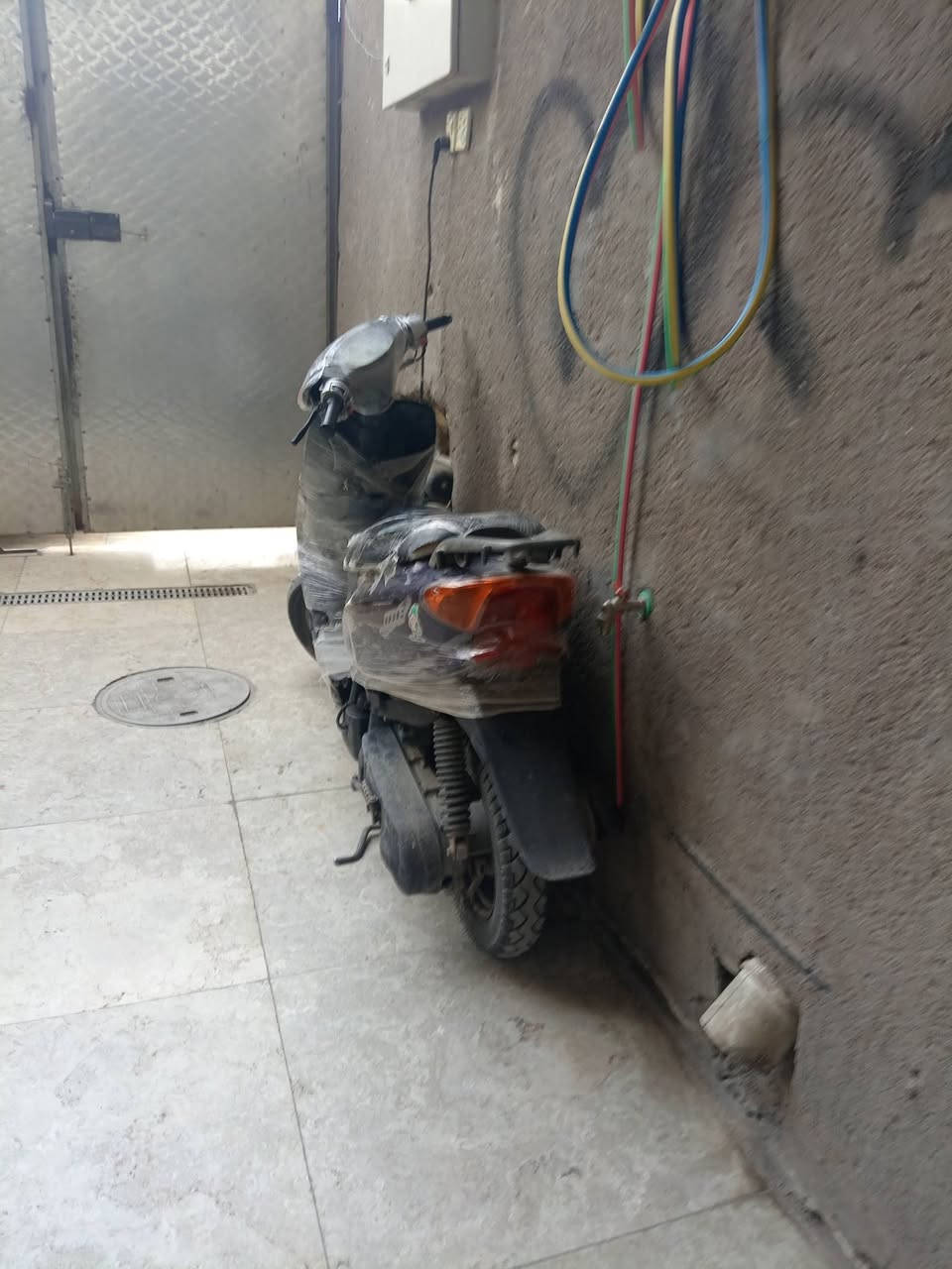 ألسلام عليكم للبيع عصفوريه كُلها بلاديه ناعمه كُل شي شغال بيها مابيها لا صوت اكسل و لا اي عطل السعر ٢٥٠ عنوان شارع فلسطين تقاطع الصخره هذا رقمي واتساب ***********
