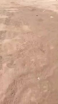 بيت • ١٠٠م • قريب شارع رئيسي