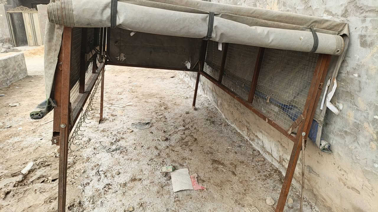 محجر مال فحل للبيع بي بوابات ينفتح اليفوك مكان بغداد مدينة صدر تصال ***********

