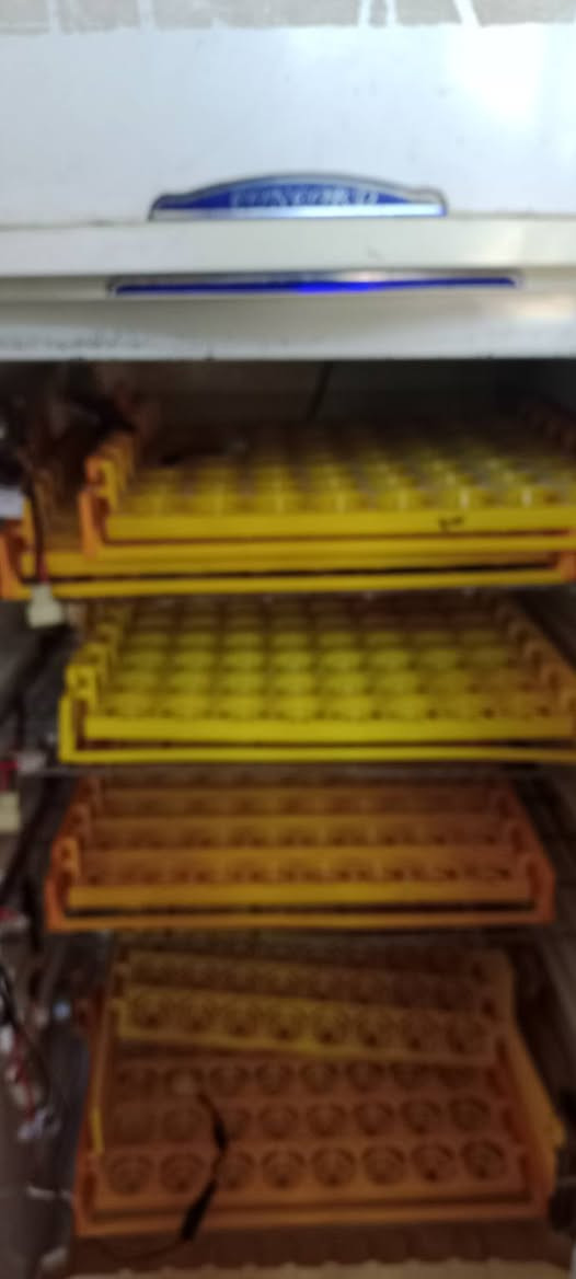 فقاسه افراخ لل بيع جاهزه السعر عل خاص


**إذا كنت صاحب هذا الإعلان وتريد حذفه لأي سبب، رجاءا أرسل رسالة إلى الدعم الفني**