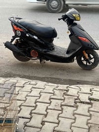 ثعلب مزوده كله مشمشي شلعه ومعدل صلنصه رياضي صدر مامي خلفي رياضي قبق فل...