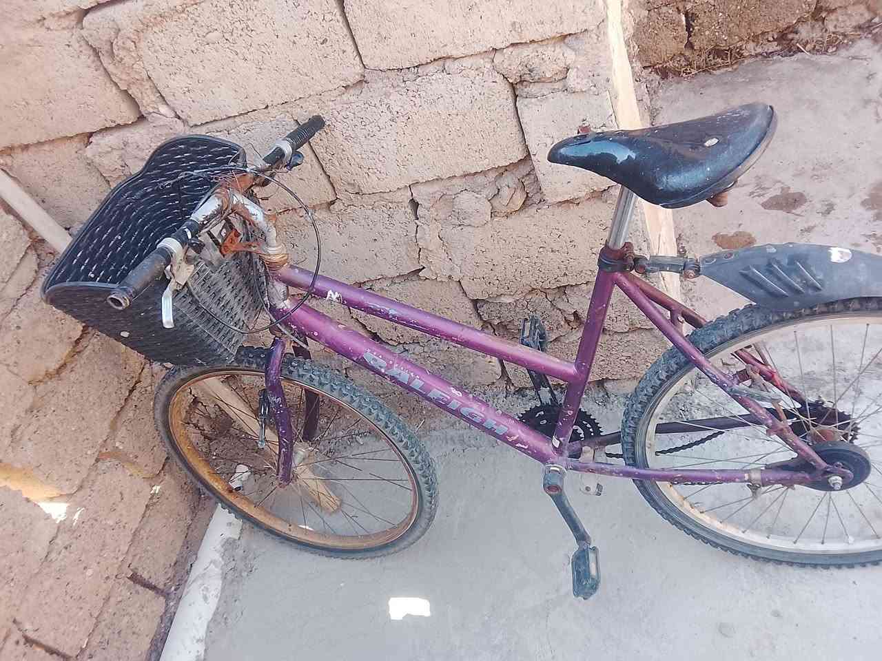 بيسكل للبيع السعر 50وبي مجال


**إذا كنت صاحب هذا الإعلان وتريد حذفه لأي سبب، رجاءا أرسل رسالة إلى الدعم الفني**
