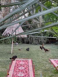 اليوسفية بغداد • ٢ دونم • طابو زراعي