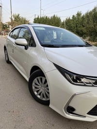 كورلا خليجي • ٢٠٢٠ • رقم اربيل