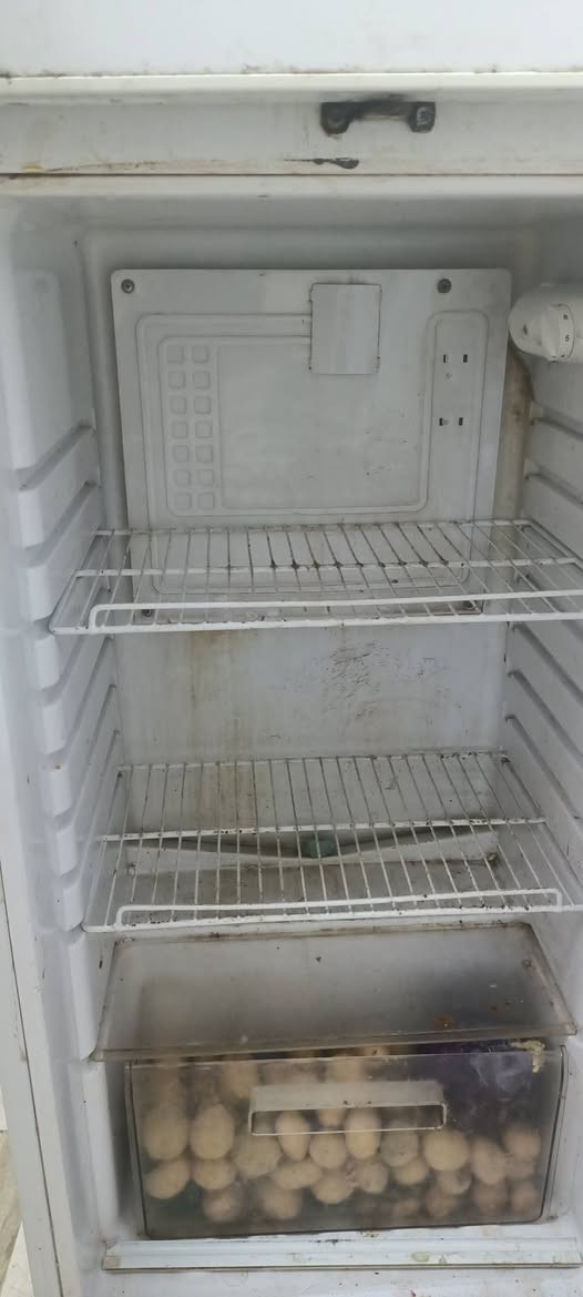 40


**إذا كنت صاحب هذا الإعلان وتريد حذفه لأي سبب، رجاءا أرسل رسالة إلى الدعم الفني**