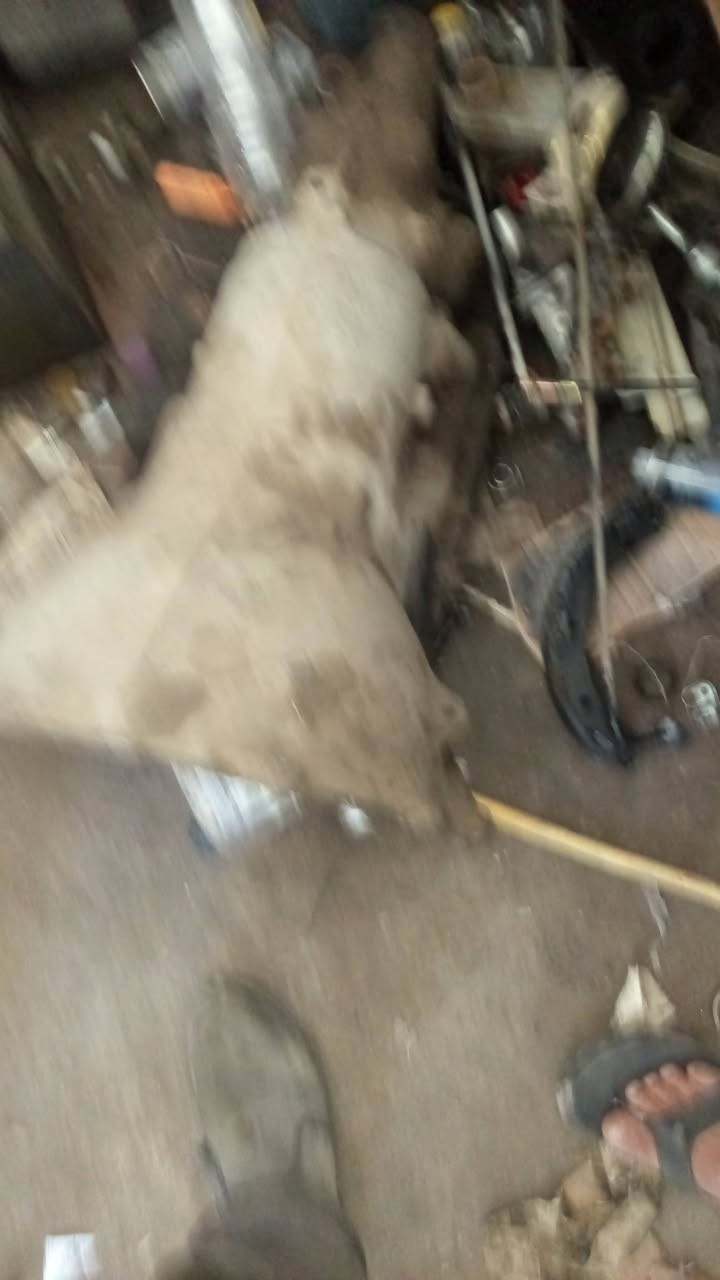 السلام عليكم كير كابرس للبيع
واحد 350
والثاني 700
والسعر خاص رقم الهاتف ***********
***********
