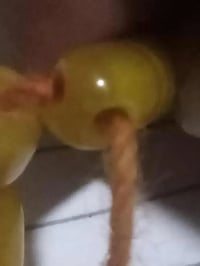 سندلوس • ٢٥جرم
