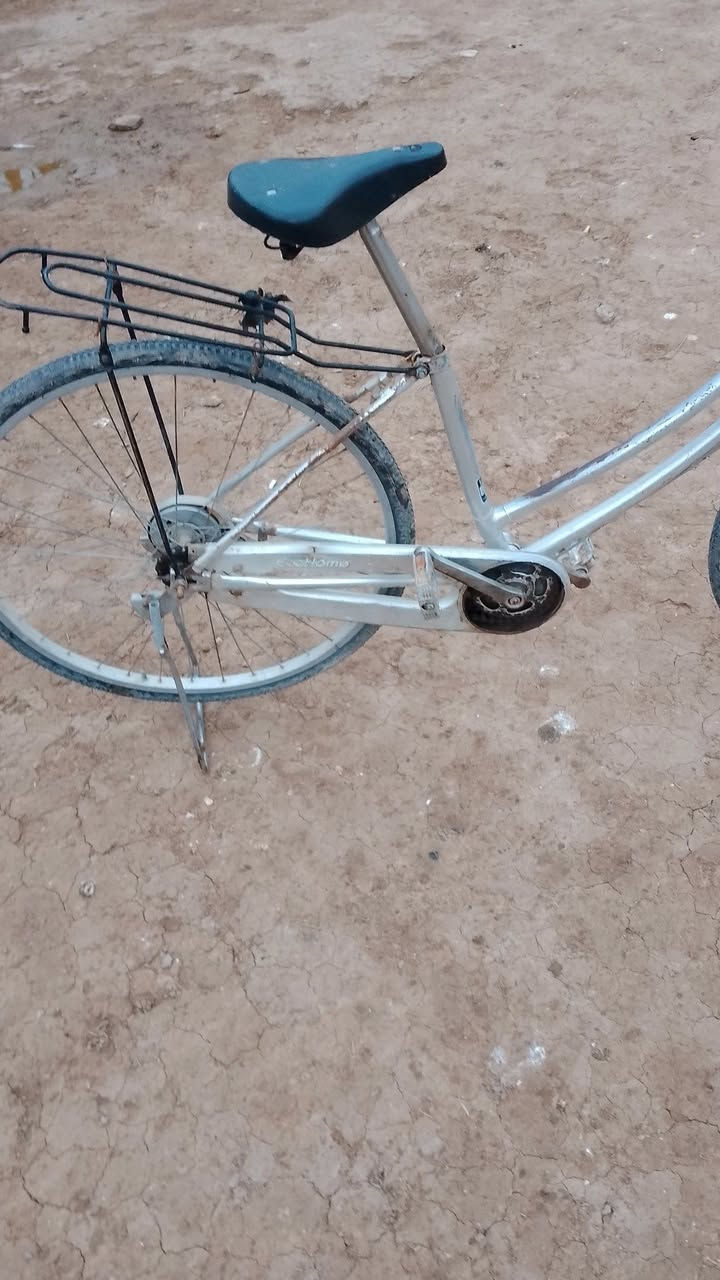 اسلام عليكم 
بايسكل للبيع او مراوس بهوايه بيسكل كله جديد  تايرات واحد قبل اسبوع شديته جديد والخر صارله شهر بايسكل اصعده وفتر ولله راقي


**إذا كنت صاحب هذا الإعلان وتريد حذفه لأي سبب، رجاءا أرسل رسالة إلى الدعم الفني**