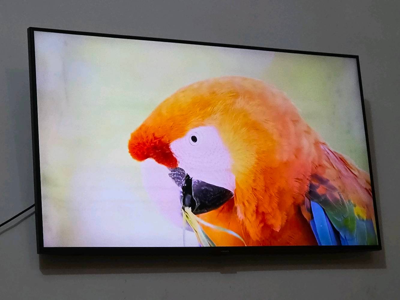 للبيع شاشة سامسونك cu7000 حجم ٤٣ ضل كلش بسيط بالابيض يبين للبيع السعر ٢٥٠ عنواني بغداد اي استفسار عالرقم ***********