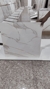 تخفيضات 5500 السعر 
لفتره محدوده 
بورسلين 60*60 ثقيل
نحمد الله على هذه النعمه والسعه في الرزق
 
 
 كل_ما_تحتاجه_ تجديد منزلك_بأقل
التكاليف أفضل_أنواع_السيراميك والبورسلين  
  على العنوان 
معرض سيد علي الزاملي
***********

 /الديوانية خلف إعدادية الصناعه/شارع حي الزيتون العام المؤدي الئ الشقق الجديده 300 متر عن فلكة معمل نسيج الديوانية على الشارع العام مقابيل بيوت النسيج.
@ للجميع
