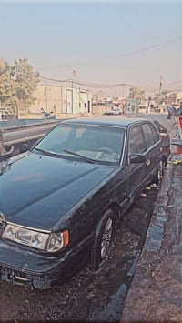 شغاله سنويه • مكاتبه • بغداد