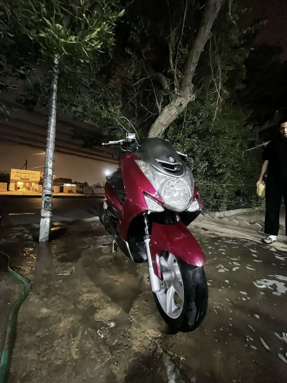 سلام عليكم شباب دراجه ماجسته اس دراجه كلش نضيفه شوفت عينكم كفاله عامه برغي ممفتوح بيهة تجي وفحص سعر 1250وبيهة مجال بصيط ***********بي وتساب 🤎
