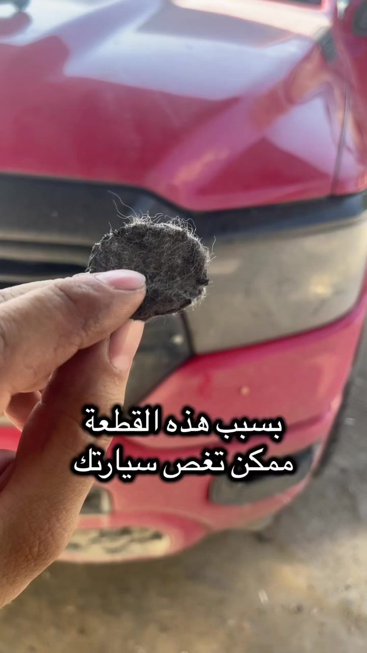 السلام عليكم
هواية دتجيني تراكات من طرف مرمز تراكات العراق ومن طرف حجي تيسير بالسنك 
بيهن مشاكل شحن وتهريب ومبخرة ودخول جديد وكذا من الاعطال لكن مدا اصورلكم 

كهربائي وفحص وتشخيص وصيانه الاعطال والمشاكل الكهربائية للسيارات الحديثة (الماني - امريكي - ياباني -كوري)

عنوان المحل بغداد - الشالچية - امام جسر ١٤ رمضان 

علاء الزبيدي

هاتف ***********
