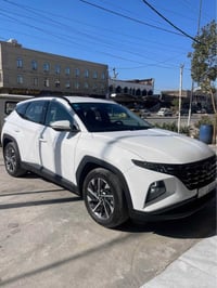 ٢٠٢٤ • كفاله • فول مواصفات