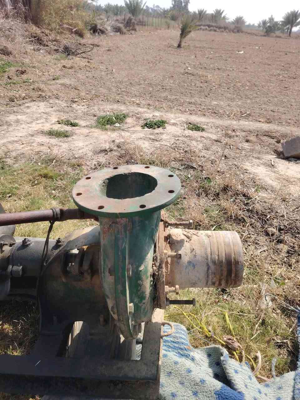 آلسـلآمـ عليـﮯگمـ  يـﮯوجد مـآطـور هہ‏‏نديـﮯ جديـﮯد گلشـ وشرطـ شـغل خنزيـﮯرهہ‏‏ آبو 6 گآمـل مـع بوريـﮯآتهہ‏‏ سـعر 550آلف آلعنوآن وآسـطـ. آلعزيـﮯزيـﮯهہ‏‏ ***********
